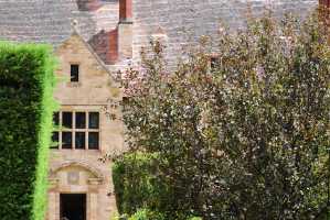 carrick hill 2014 (93)